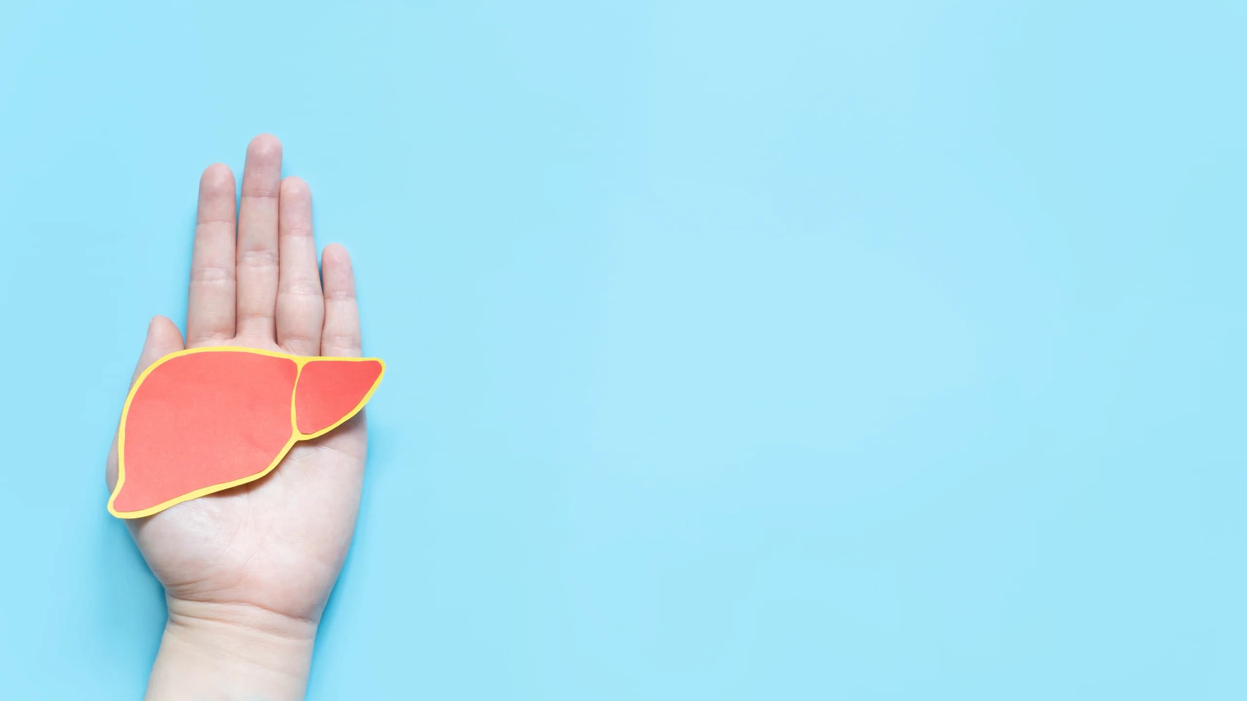 Fatty Liver Symptoms In Females: What Can Be Different, And What Usually Isn’t