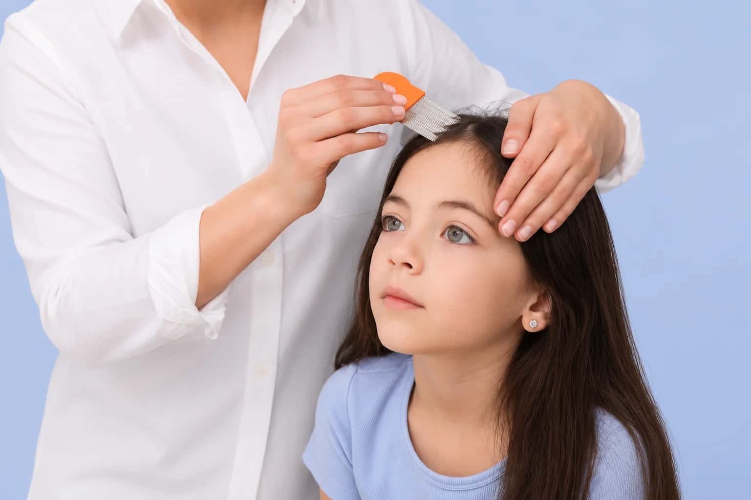 Do Lice Prefer Clean or Dirty Hair? The Real Truth