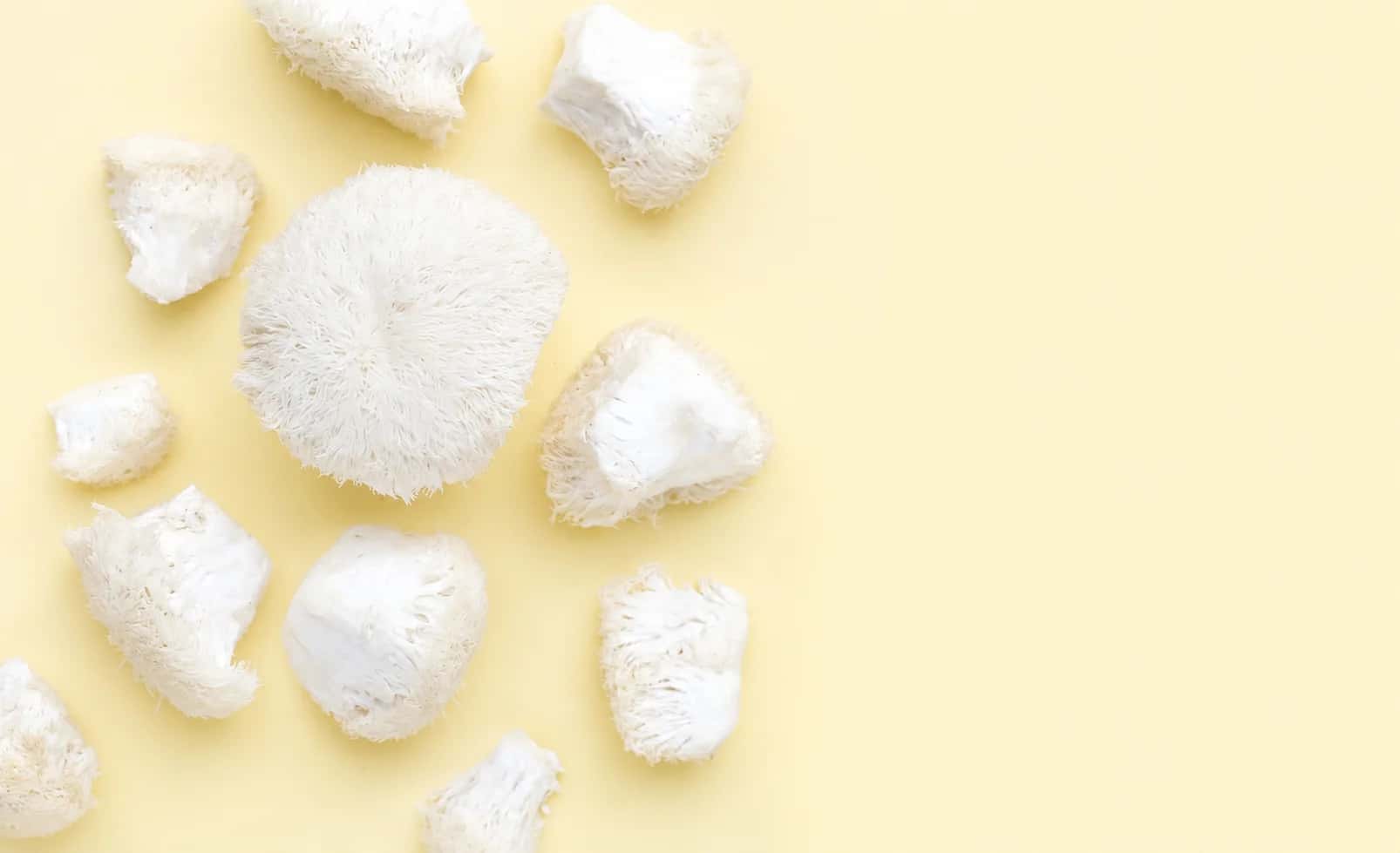 10 Science-Backed Benefits of Lion's Mane Mushroom