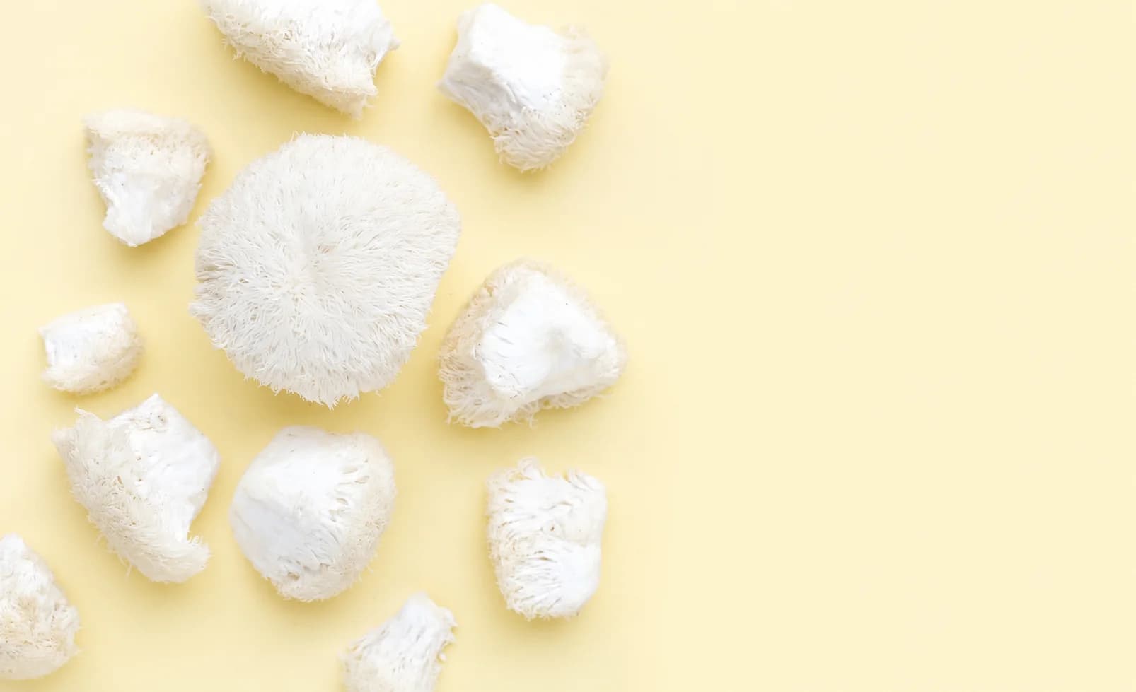 10 Science-Backed Benefits of Lion's Mane Mushroom